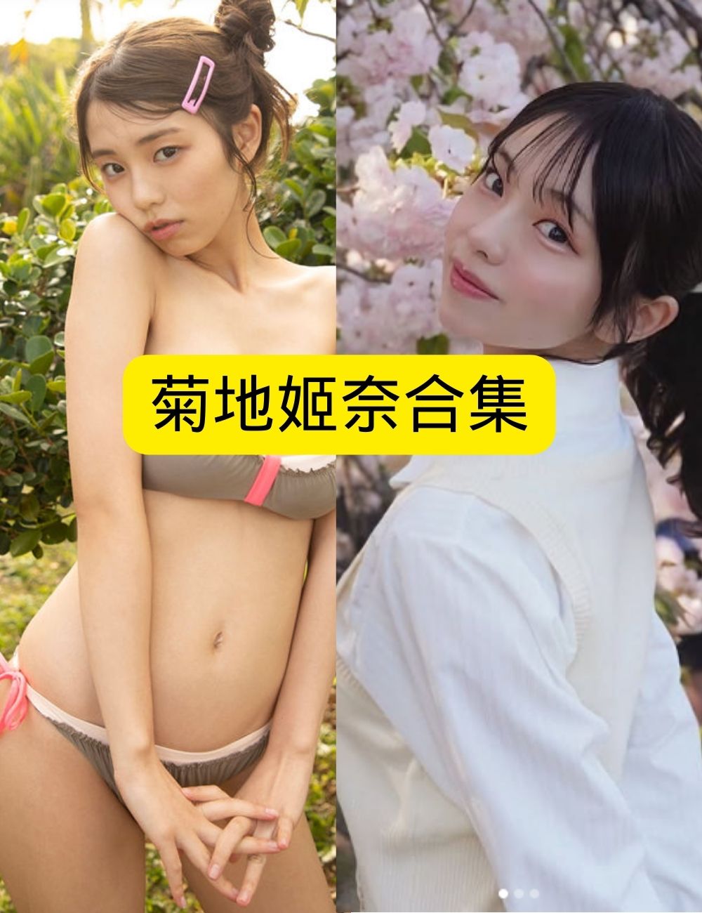 巨乳美女 阳光菊地姬奈 户外比基尼写真写真套图合集下载