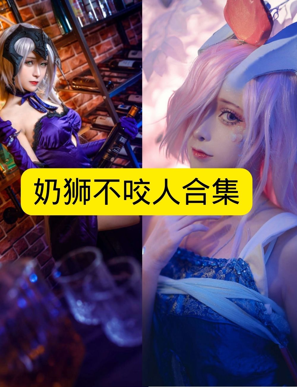 奶狮不咬人古典幻想仙子写真图包合集下载 奶狮不咬人古典幻想仙子写真图包合集下载