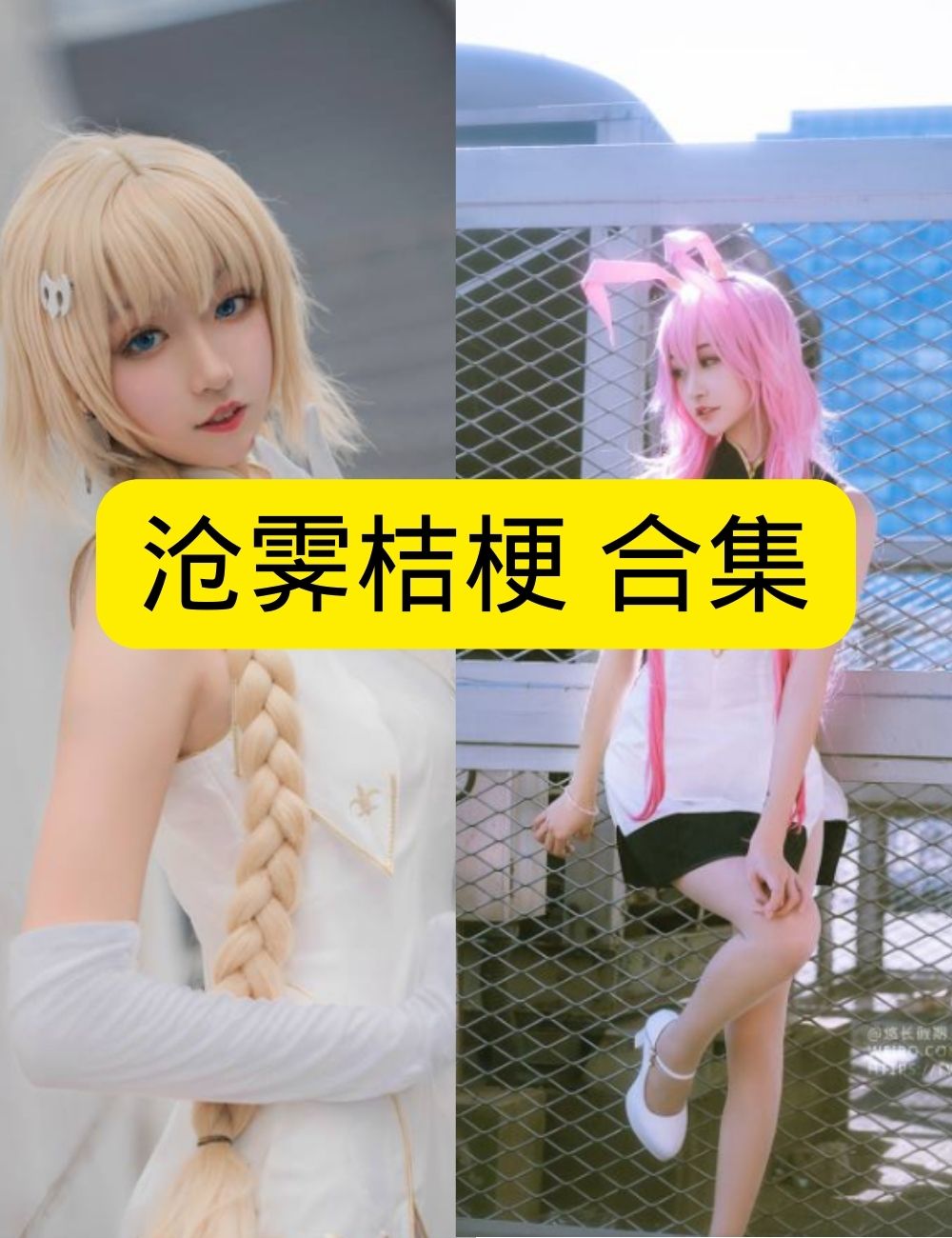 甜美写真甜美沧霁桔梗花丛少女写真图包合集下载