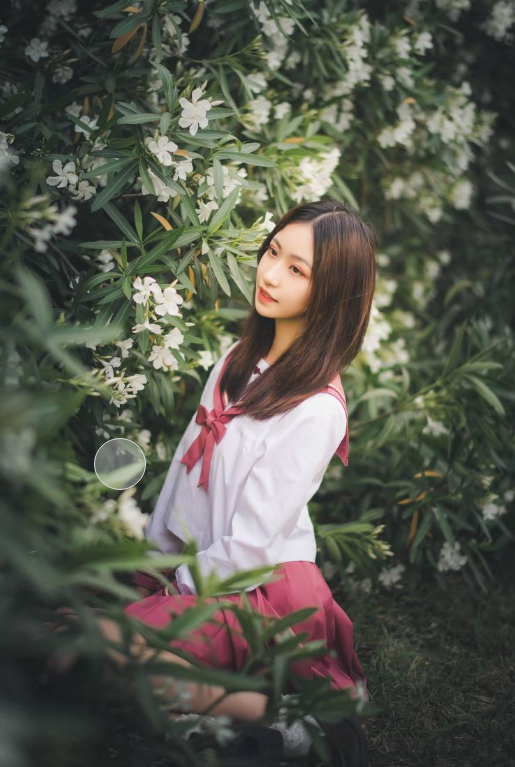 甜美写真甜美沧霁桔梗花丛少女写真图包合集下载