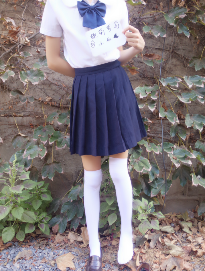 丝袜少女控软萌萝莉小仙白丝学院风写真资源合集下载