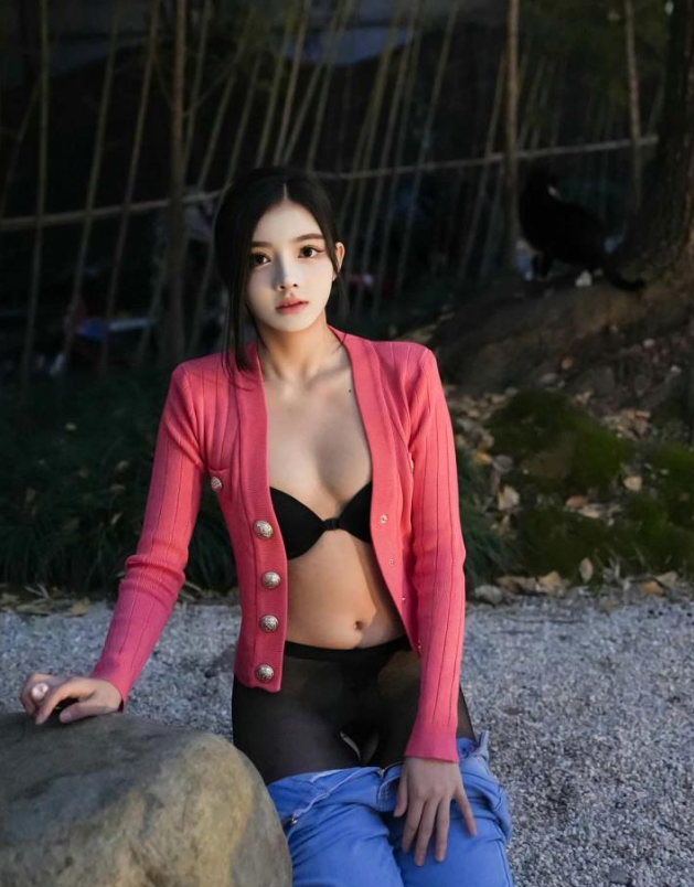 秀人网 龍雪兒 倾城 浦江夜色写真图片以及视频资源合集