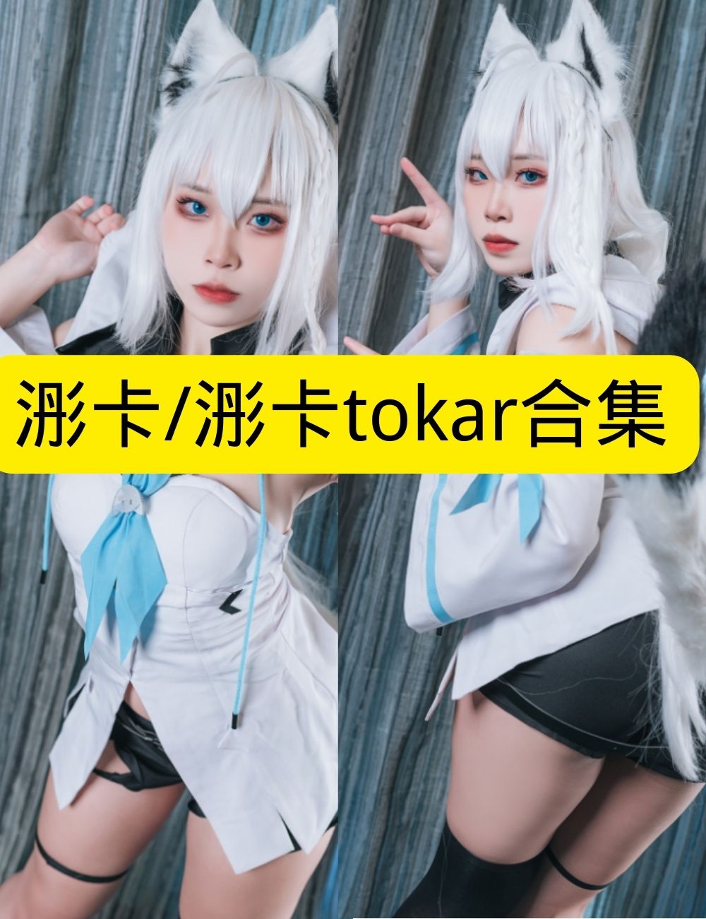 丝袜诱惑 梦幻浵卡浵卡tokar 兽耳少女Cosplay写真图包合集下载