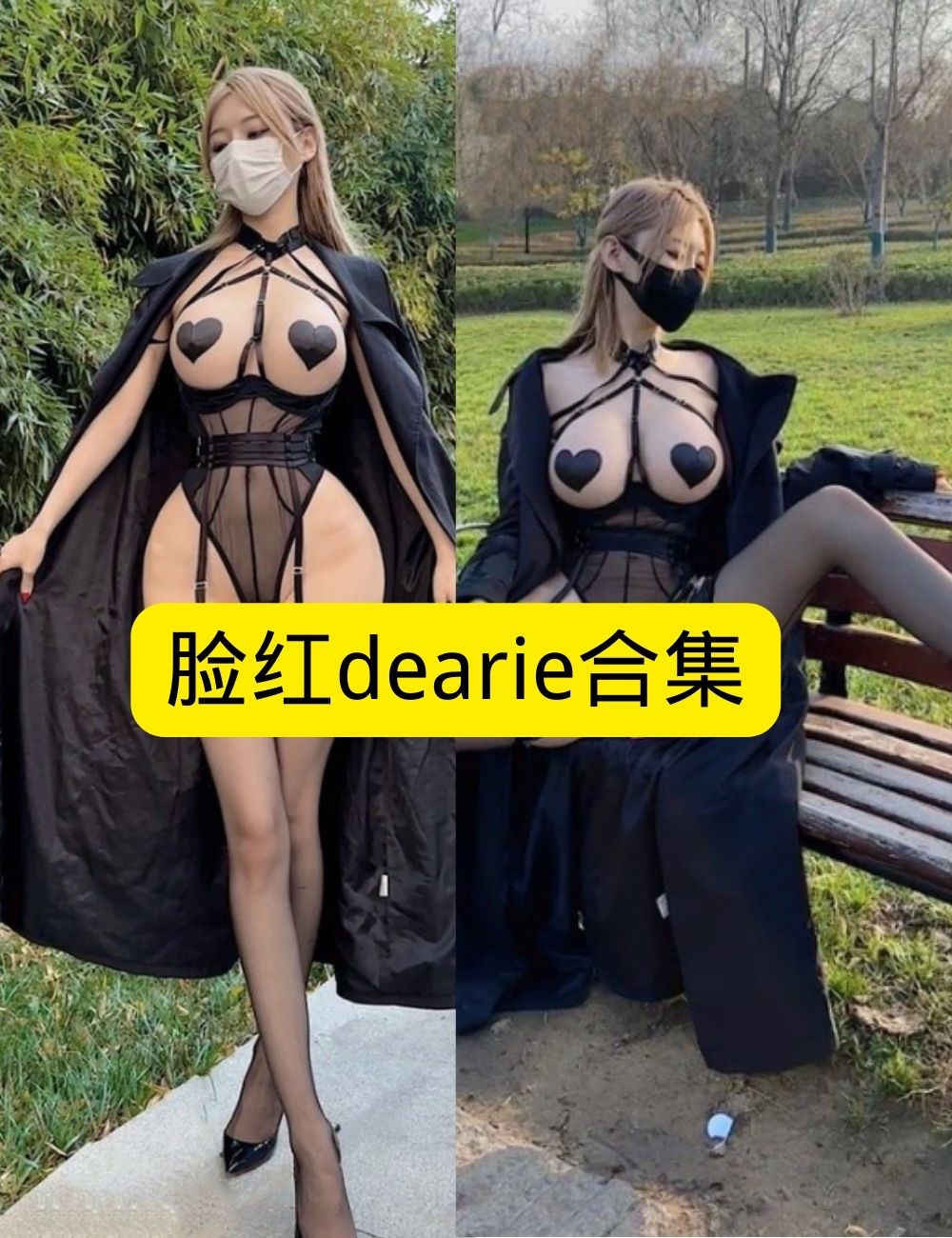黑丝御姐 微密圈 脸红dearie地铁站性感写真套图合集下载